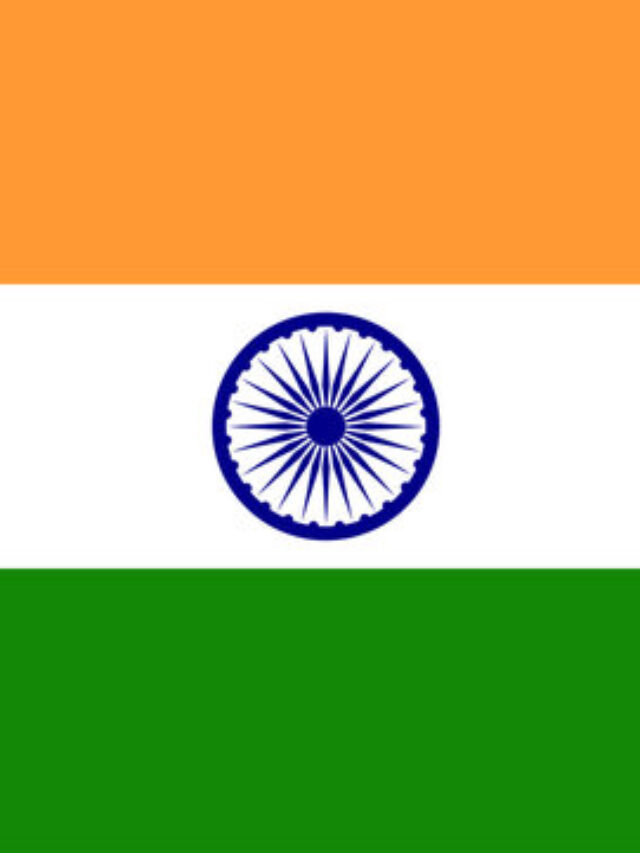 T20 Cricket World Champion 2024 – INDIA