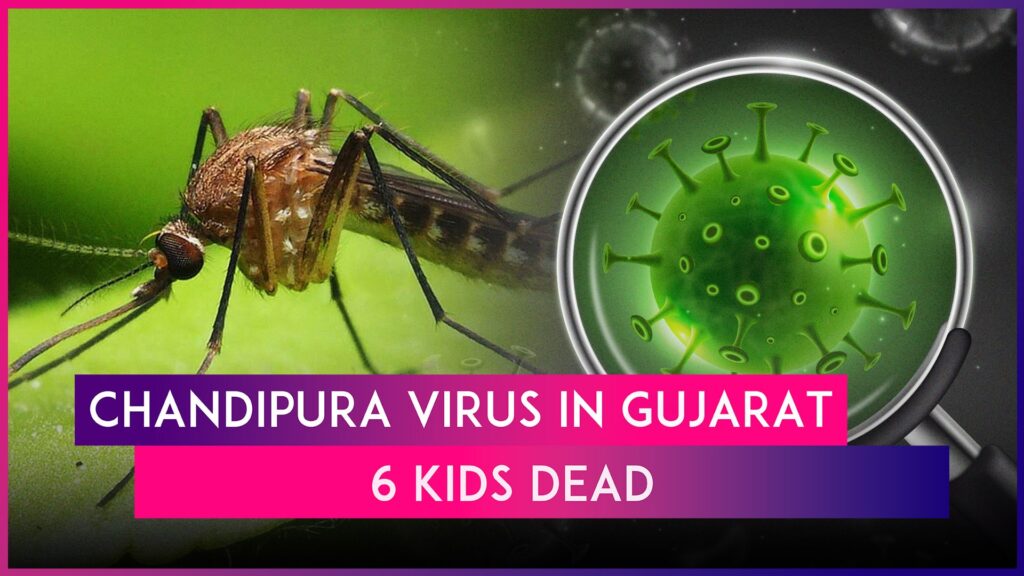 Chandipura Virus - गुजरात और राजस्थान में ढहा रहा है कहर (6 Children Lost their Life)