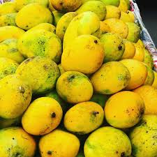 Top 10 Mango Varieties of India and How to Identify them and their Origin - भारत के 10 फेमस आम और उन्हें कैसे पहचाने और वो कहा उगाये जाते है