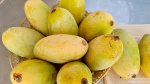 Top 10 Mango Varieties of India and How to Identify them and their Origin - भारत के 10 फेमस आम और उन्हें कैसे पहचाने और वो कहा उगाये जाते है