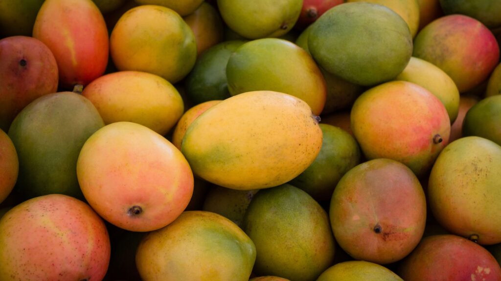 Top 10 Mango Varieties of India and How to Identify them and their Origin - भारत के 10 फेमस आम और उन्हें कैसे पहचाने और वो कहा उगाये जाते है