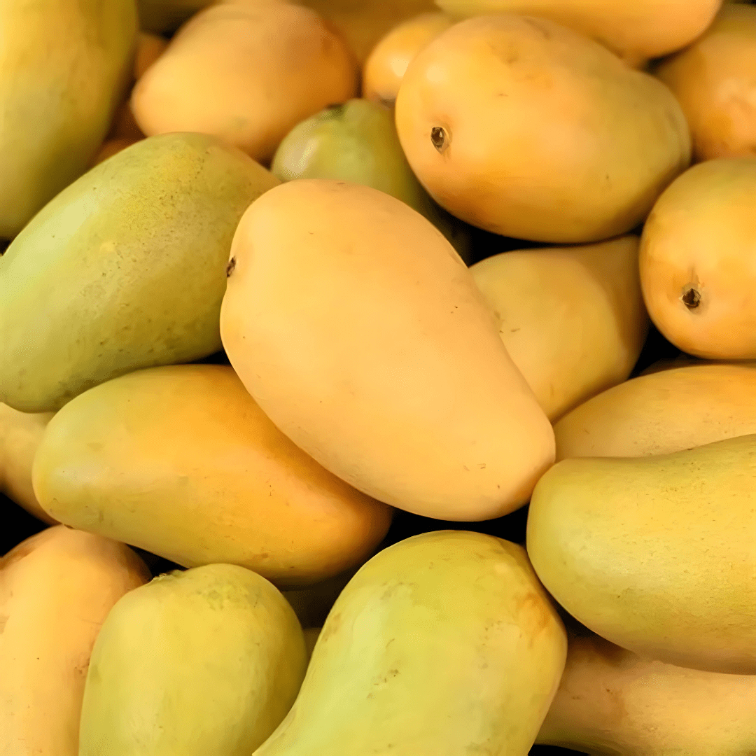 Top 10 Mango Varieties of India and How to Identify them and their Origin - भारत के 10 फेमस आम और उन्हें कैसे पहचाने और वो कहा उगाये जाते है