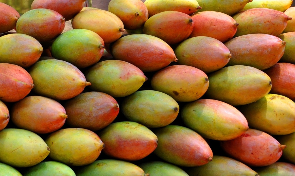 Top 10 Mango Varieties of India and How to Identify them and their Origin - भारत के 10 फेमस आम और उन्हें कैसे पहचाने और वो कहा उगाये जाते है