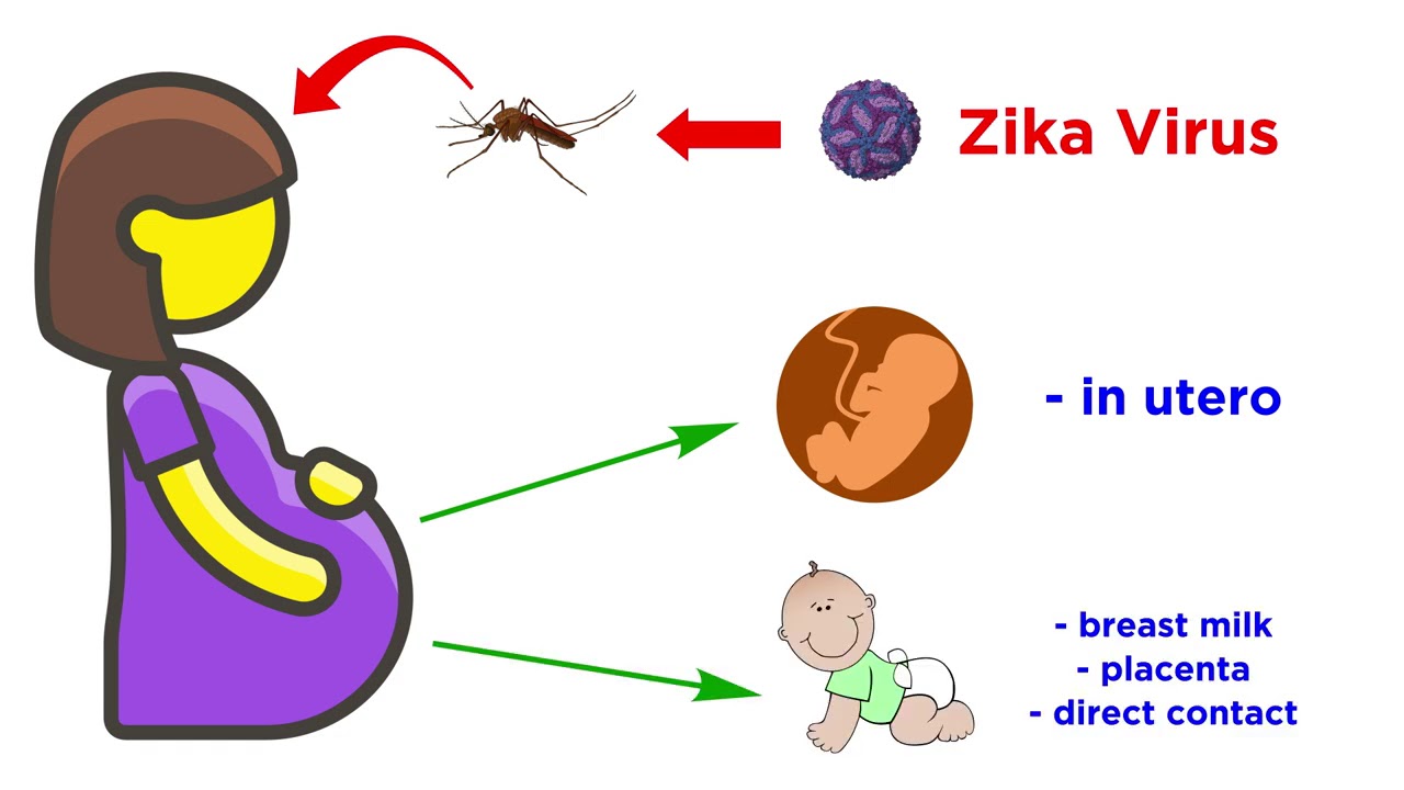 Zika Virus in Kanpur – क्या ज़ीका वायरस फिर ढायेगा कहर कानपुर में ?